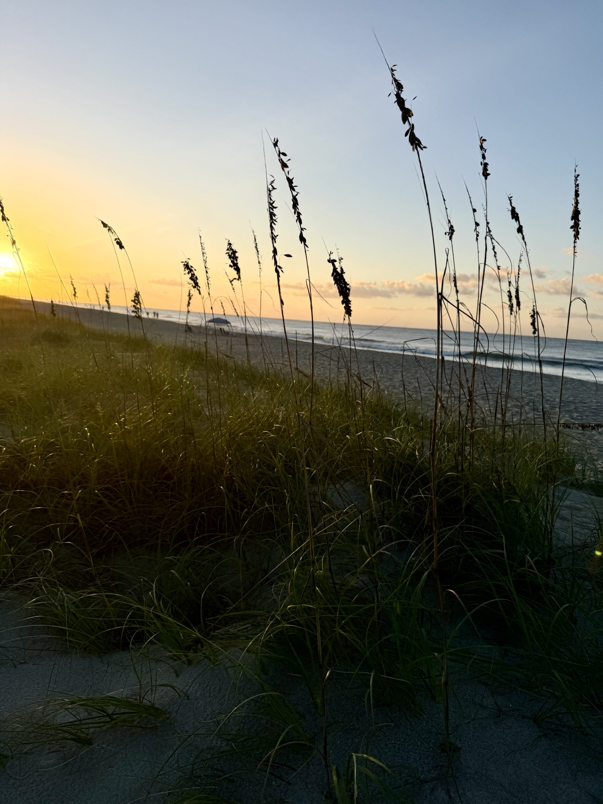 Sunrise View