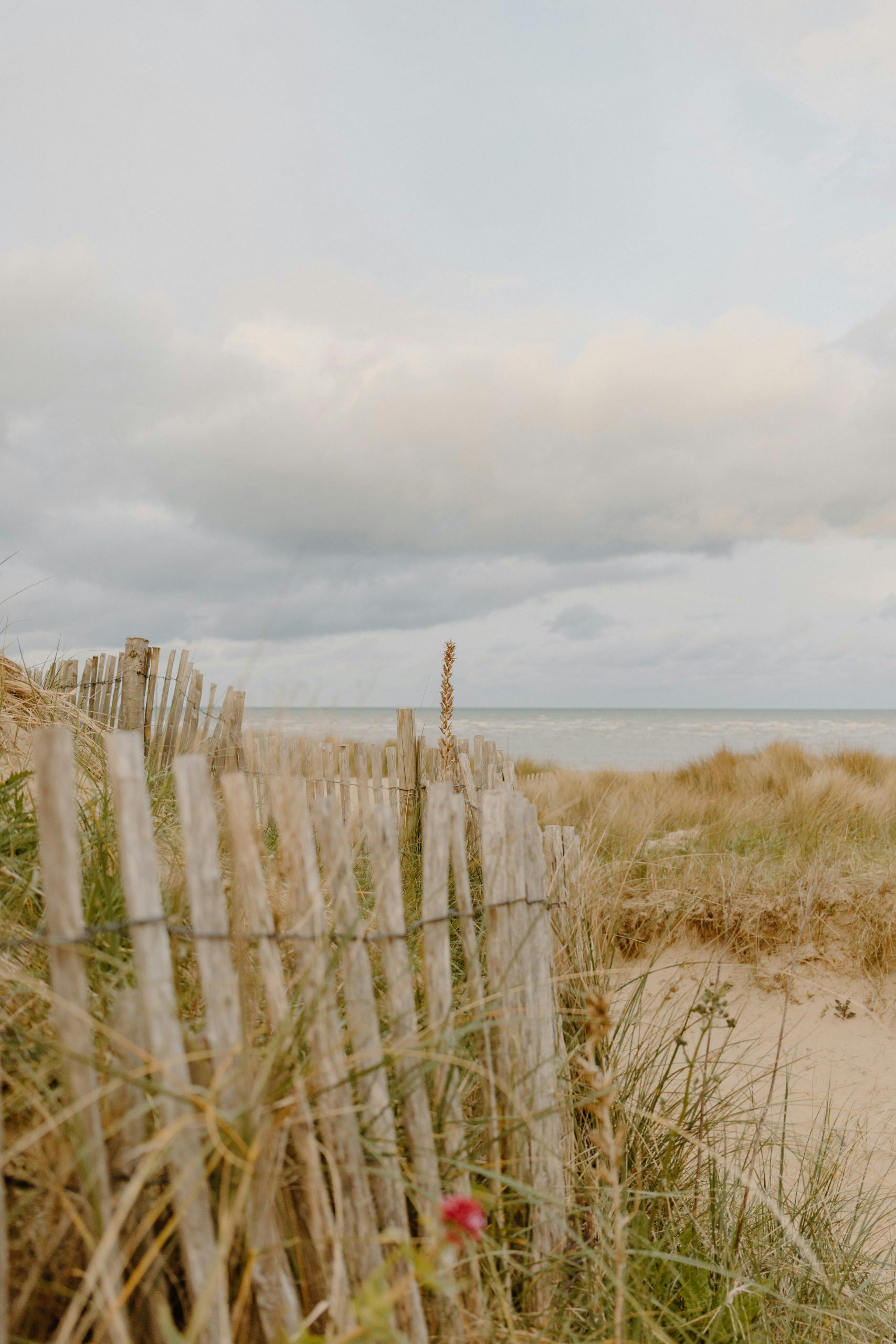 annie-spratt-6sscLbqD-ps-unsplash