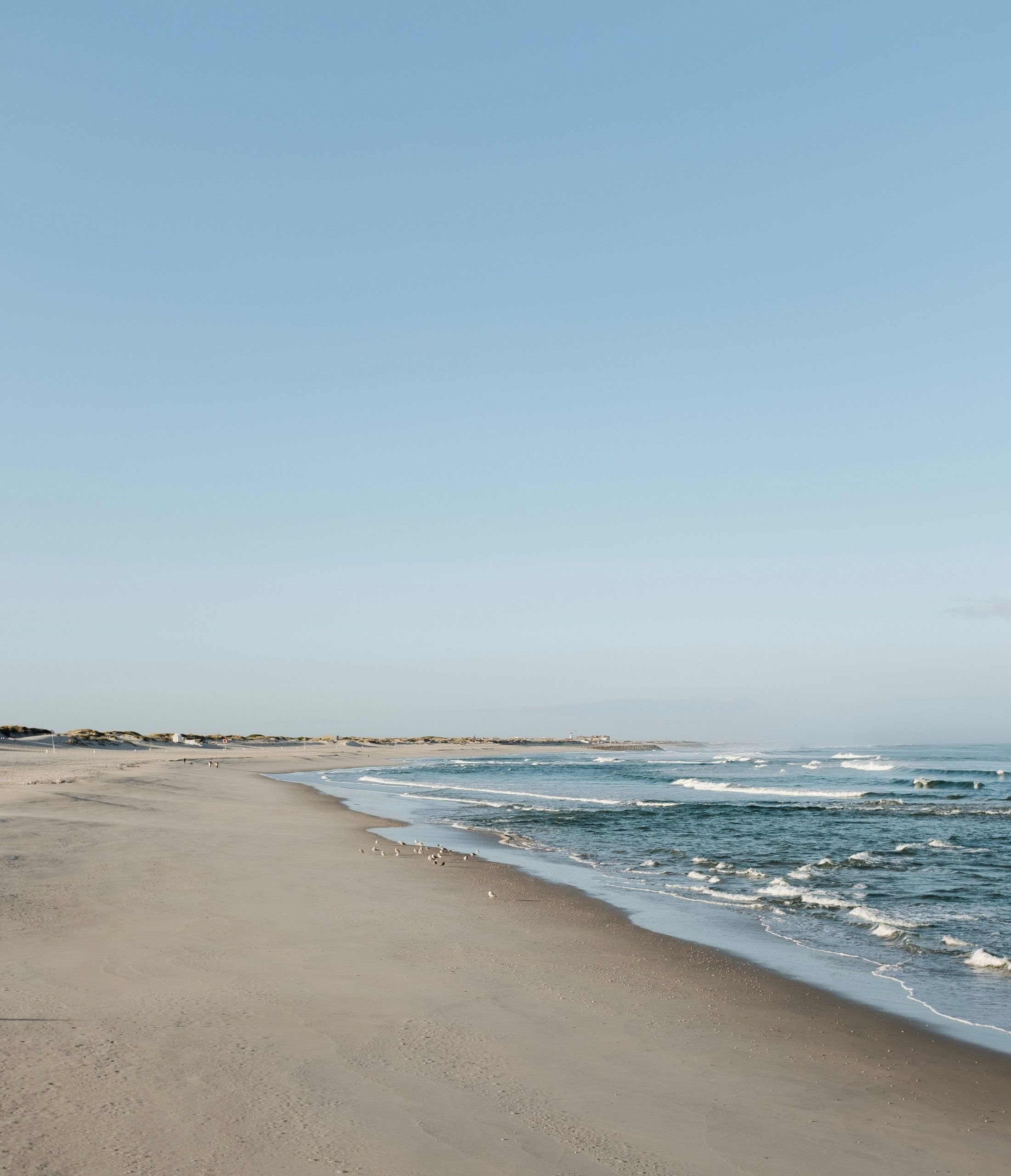 ricardo-resende-G2nT5mZk-kg-unsplash